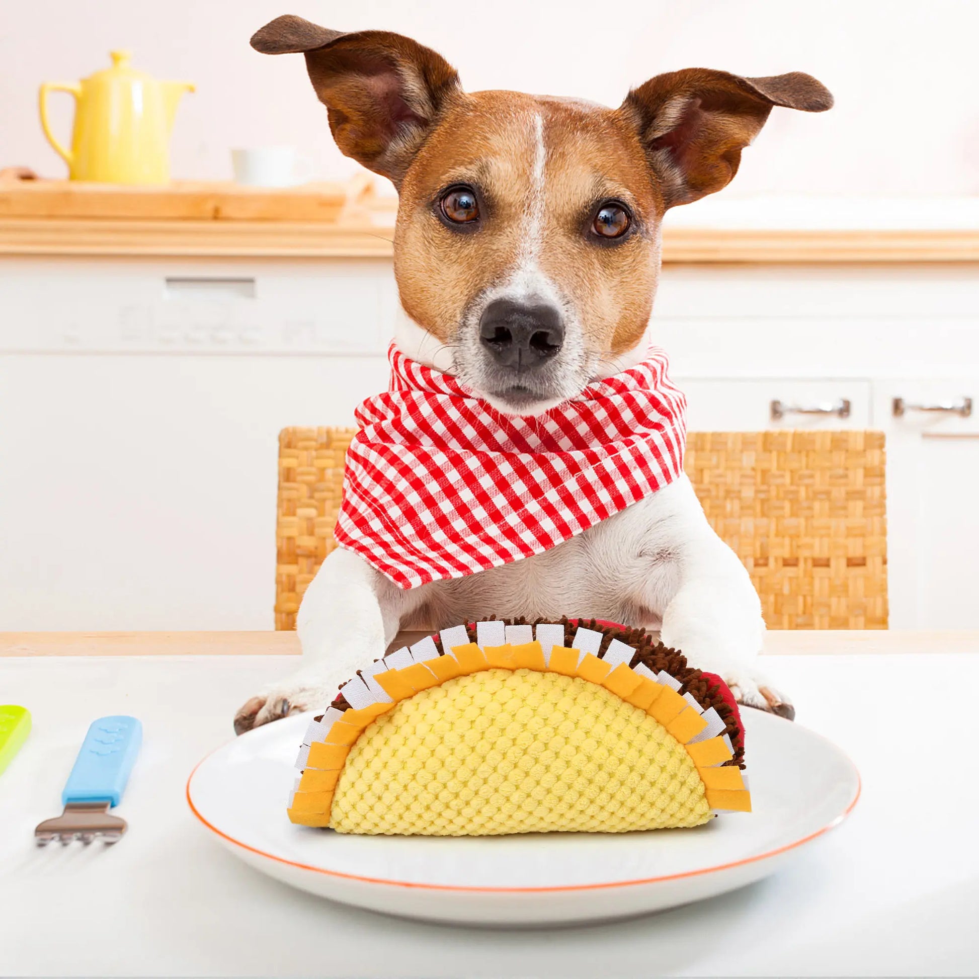 38cada26-2040-47a8-b443-dfed3d15f08d