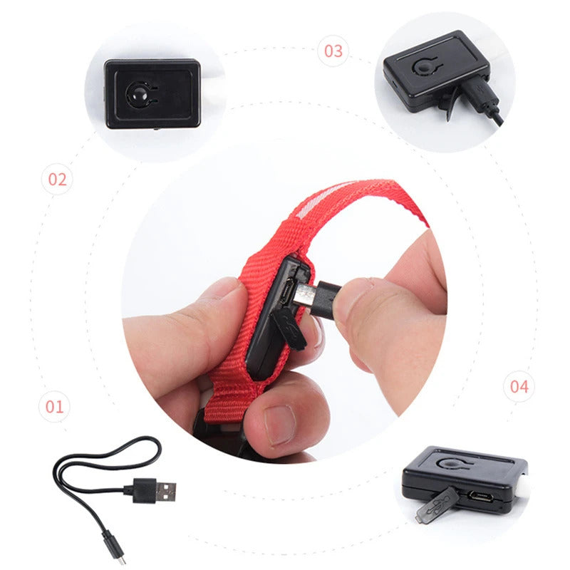 509afab3-333d-4e44-bec4-d32133a553e3