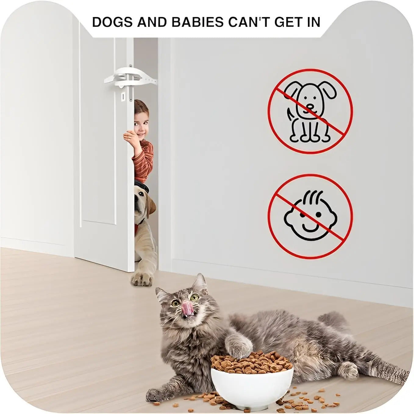 1690ef3b-679b-442c-953b-b182566321ac