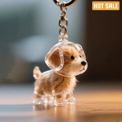 Pet Hair Memorial Capsule Keychain by CC+Tea, small silver keepsake with a clear window for pet hair display and keyring attachment.