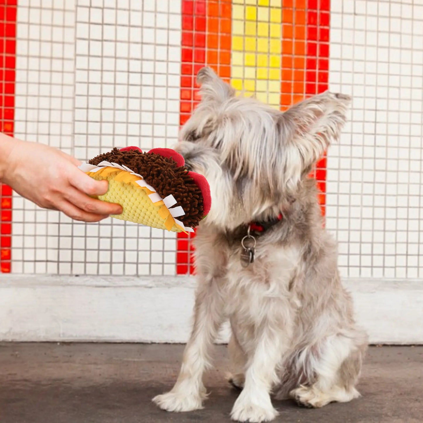 a2eeeecc-af6f-4230-b4ca-43811ab9179b